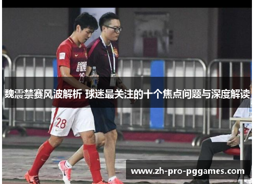 魏震禁赛风波解析 球迷最关注的十个焦点问题与深度解读