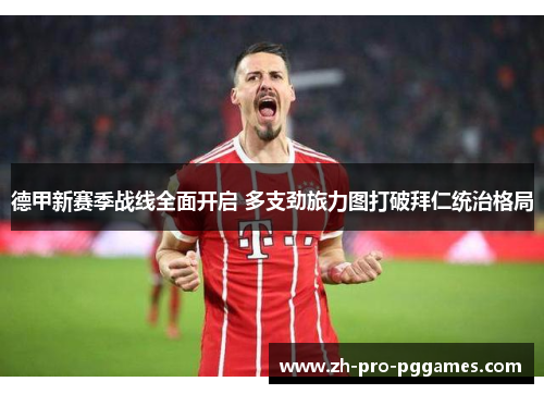 德甲新赛季战线全面开启 多支劲旅力图打破拜仁统治格局