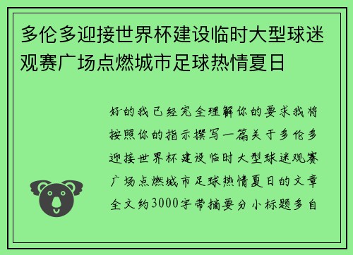 多伦多迎接世界杯建设临时大型球迷观赛广场点燃城市足球热情夏日